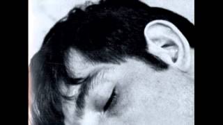 The Magnetic Fields - &quot;Too Drunk To Dream&quot;