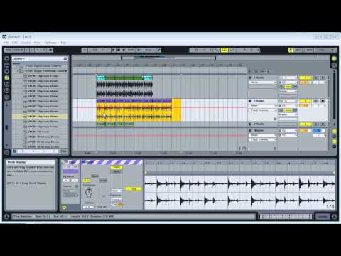 Ableton Live Beginner Course Level 1-10 - Session View, Jamming and Transposing Loops