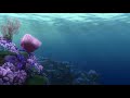 Finding Nemo Credits