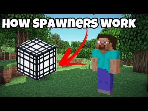 How spawners work - Donut SMP (UPDATED)
