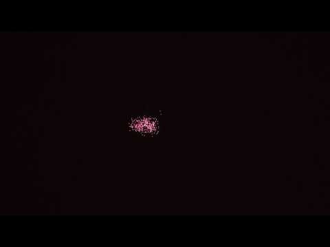 SCP71/100 - 100mm Red Falling Leaf Shell