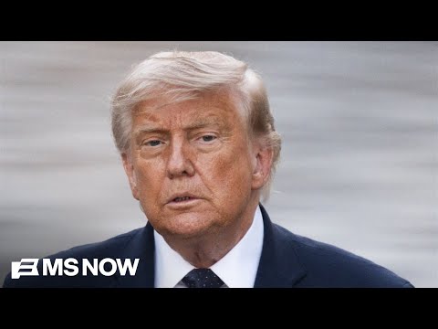 How does Trump view his own power? Thinks 'he has more' than 'Napoleon, Stalin, Hitler': Haberman