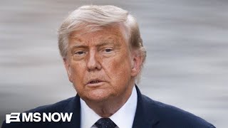 How does Trump view his own power? Thinks 'he has more' than 'Napoleon, Stalin, Hitler': Haberman