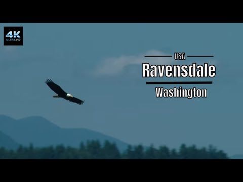 Wing Walker Aerial LLC video.