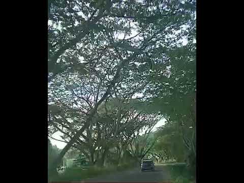 Que bonito es el Tolima..Via a Prado-Tolima.#turismo #travel