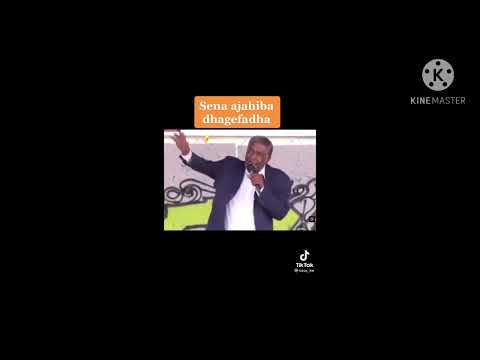 hayyuu seenaa fi afaanii Dr gammachuu dhaggeeffadhaa.