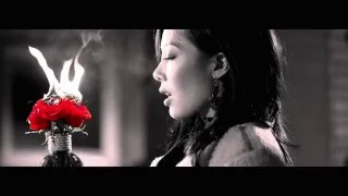 Jessi (제시) – Excessive Love (살찐 사랑) Lyrics [Eng Sub/Han]