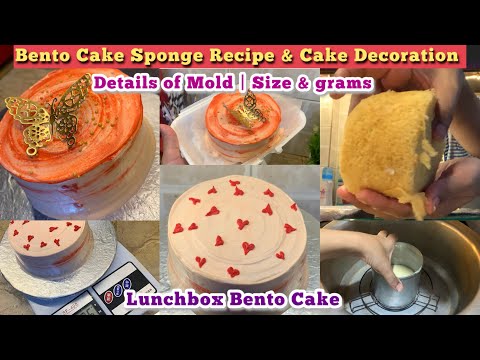 Bento Cake Sponge Recipe Without Oven | Lunchbox Cake Decoration & Tips in Detail ✨
