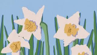 Sara Noelle – Weather Vane