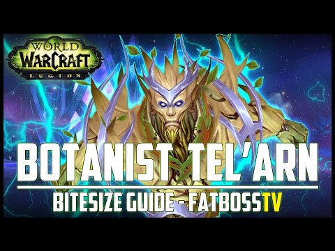 High Botanist Tel'arn "Bitesize" Normal + Heroic Guide - FATBOSS
