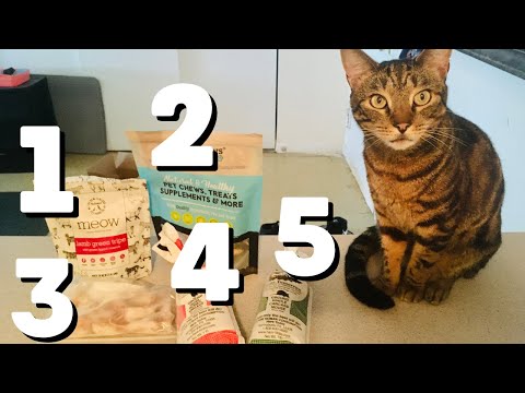 This is why you should feed variety to your cat