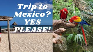 Why you SHOULD Plan your Next Trip to MEXICO | TOP 5