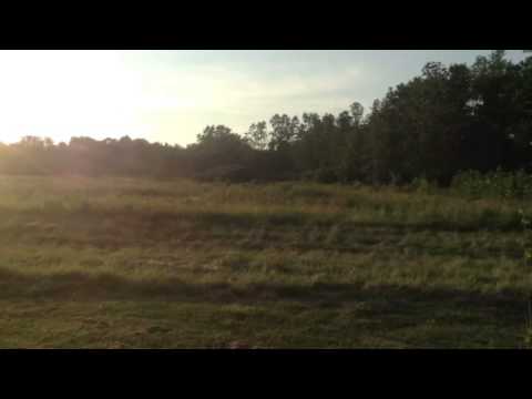 On the site of the Battle of Chippewa