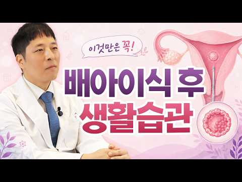 시험관 배아 이식 후 운동, 식단, 영양제까지 총정리 가이드
