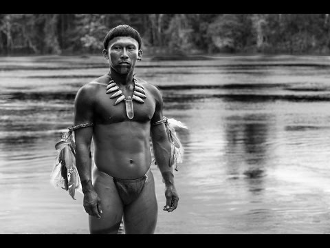 DER SCHAMANE UND DIE SCHLANGE - EINE REISE AUF DEM AMAZONAS - deutscher Trailer