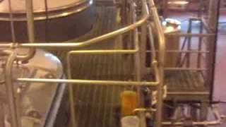 preview picture of video 'Cheesemaking assembly line at Tillamook (Part 2)'