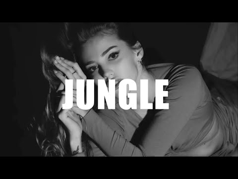 Alok, The Chainsmokers & Mae Stephens - Jungle (Hiago Lopes Remix)