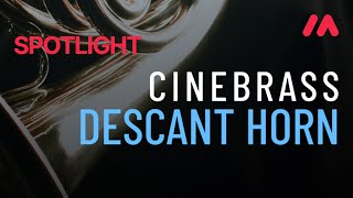Video thumbnail for Musio Spotlight - CineBrass Descant Horn by Cinesamples