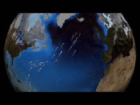 Countdown zum Weltuntergang - Die Klimakatastrophe