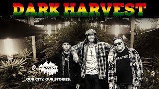 HOW to DIRECT a FILM | \