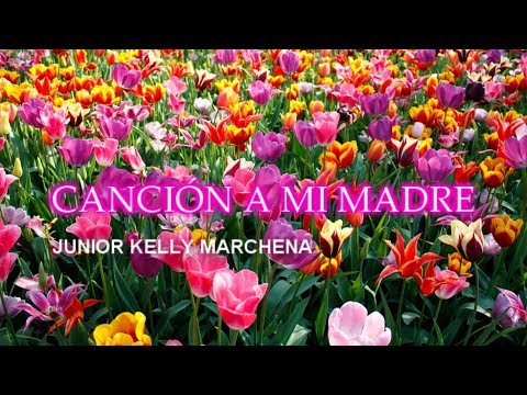 Canción A Mi Madre video