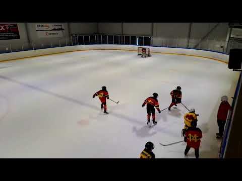 11.9 Diskos Keltainen- Diskos Punainen