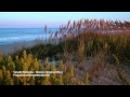 Takaki Matsuda Shizen Original Mix PHW093