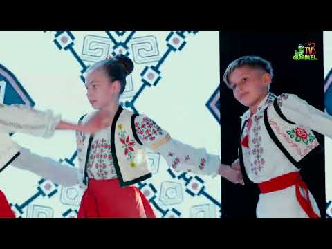 Ansamblul de dans popular SUVEICA - HORA