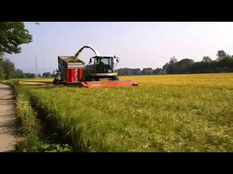 Sfalcia-Trincia-Caricatrice CLAAS JAGUAR 950+FENDT POWER 512 E CROSETTO