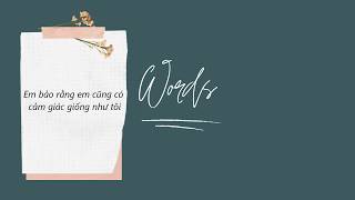 [Vietsub] Words - Passenger