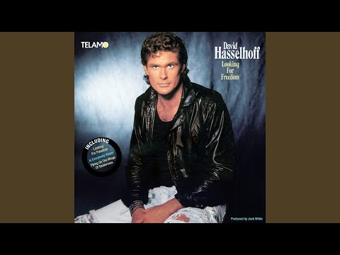 Lady - David Hasselhoff