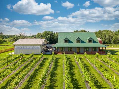 Spirits of Norway Vineyard