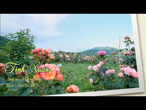 Tình xuân - Sơn Túi Đỏ