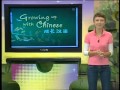 Growing up with Chinese - Lesson 62