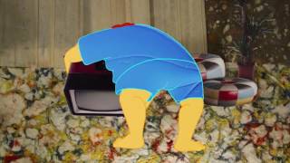 Celestial Shore   Creation Myth   Official Video - Animated Cartoon for Kids