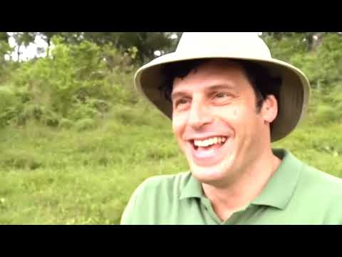 The Making Of 'Galapagos' with David Attenborough #galápagos