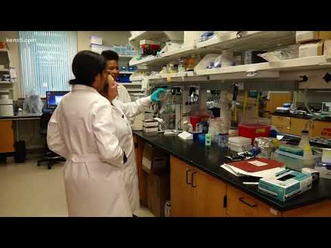 Study by Texas Biomed shows hope for Zika vaccine