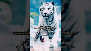 Download lagu story wa macan putih l Tentang hadist #shorts #status #attitudestatus #story mp3