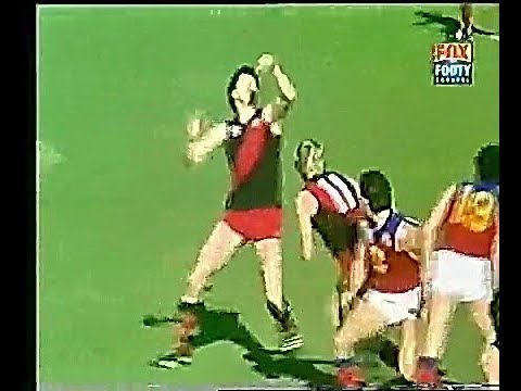 1982 Rnd 15  Essendon v Fitzroy