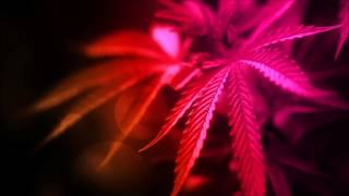 Psycraft - Illegal Overdose
