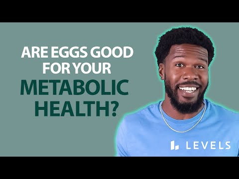 Are EGGS Good for Your Metabolic Health & Blood Sugar Levels? | Austin McGuffie & Levels