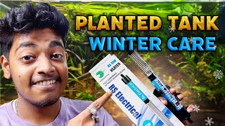 Planted Tank Winter Guide 🌿 | Heater Setup, Care & Safety Tips
