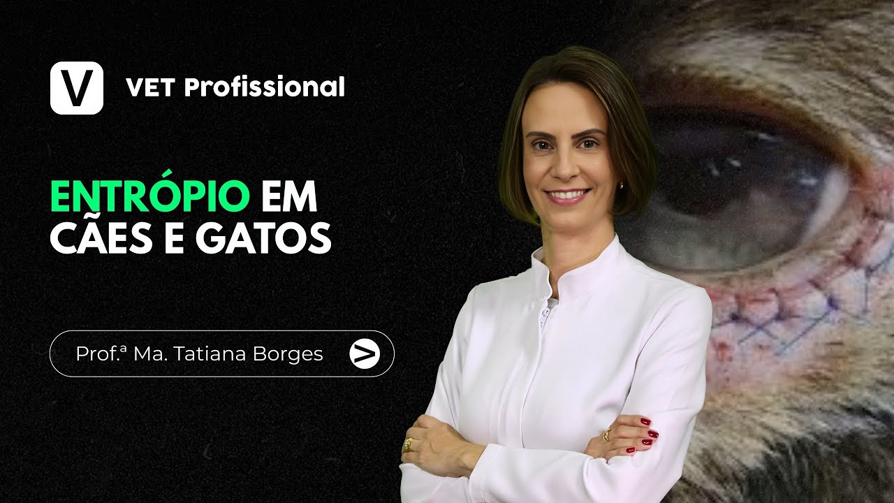 Entrópio em cães e gatos | VET Profissional