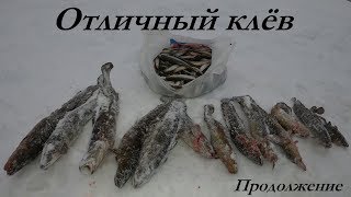 Отчеты о рыбалке в подмосковье за сегодня