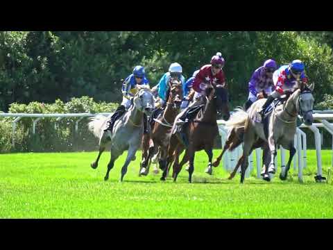 Göteborg Galopp, 27.07.2022, Lopp 8, 1200 gr ARABHÄSTLÖPNING