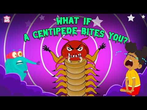 What if a Centipede Bites You? | Are Centipedes Poisonous? | Deadliest Insects | The Dr. Binocs Show