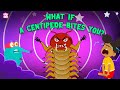 What If A Centipede Bites You Are Centipedes Poisonous Deadliest Insects The Dr Binocs Show