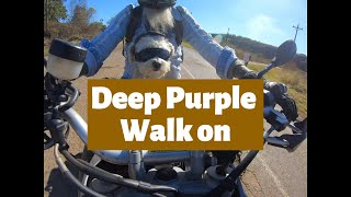 Deep Purple  - Walk  on