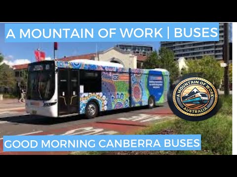 Good Morning Canberra Buses | ACT | Buses