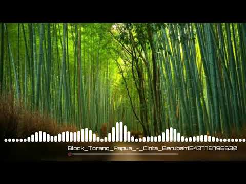 Block Torang Papua - Cinta Berubah